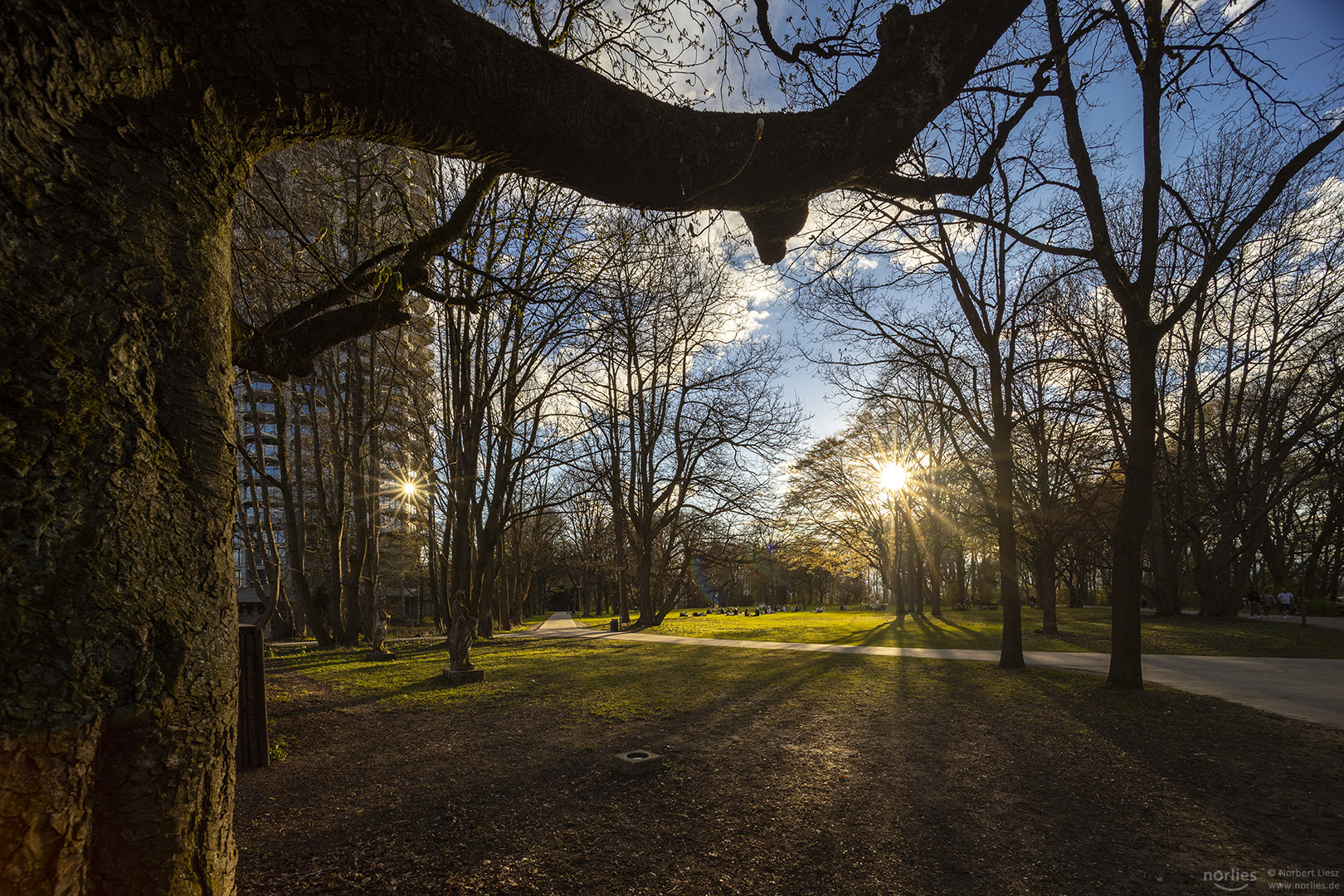 Sonnenlicht im Wittelsbacher Park