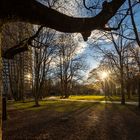 Sonnenlicht im Wittelsbacher Park