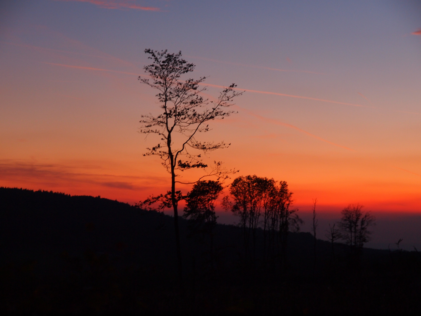 Sonnenlicht reflexion am Horizont