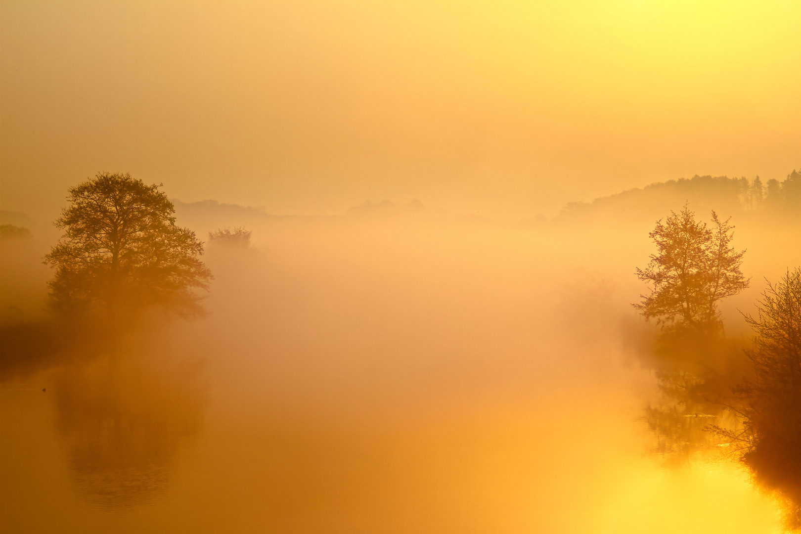 Sonnenlicht und Nebel