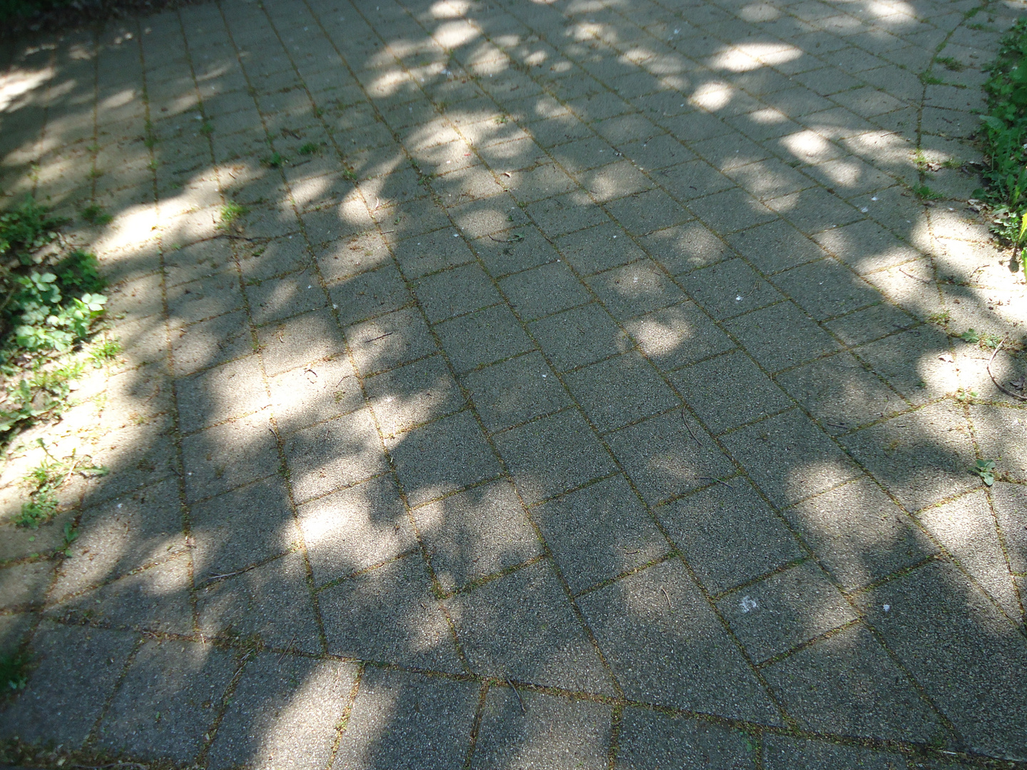 Sonnenlicht und Schatten auf dem Fußweg