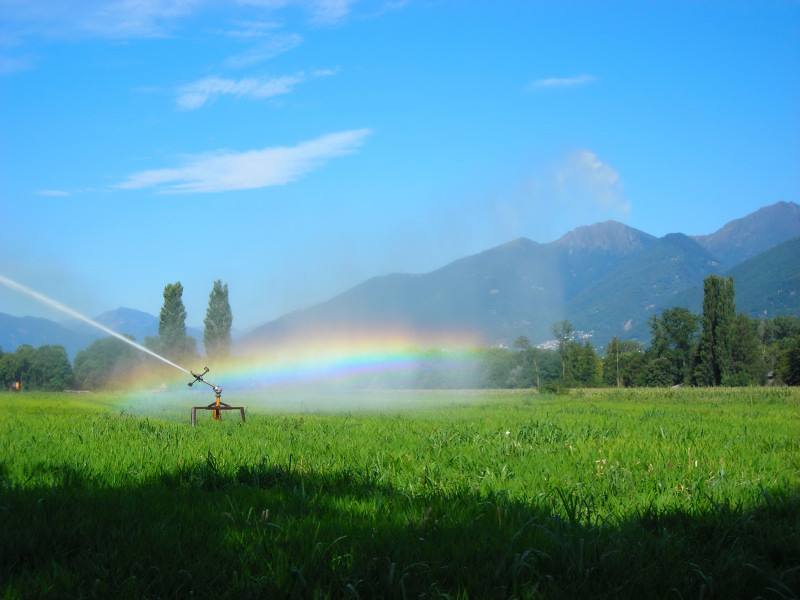 Sonnenlicht und Wasser I