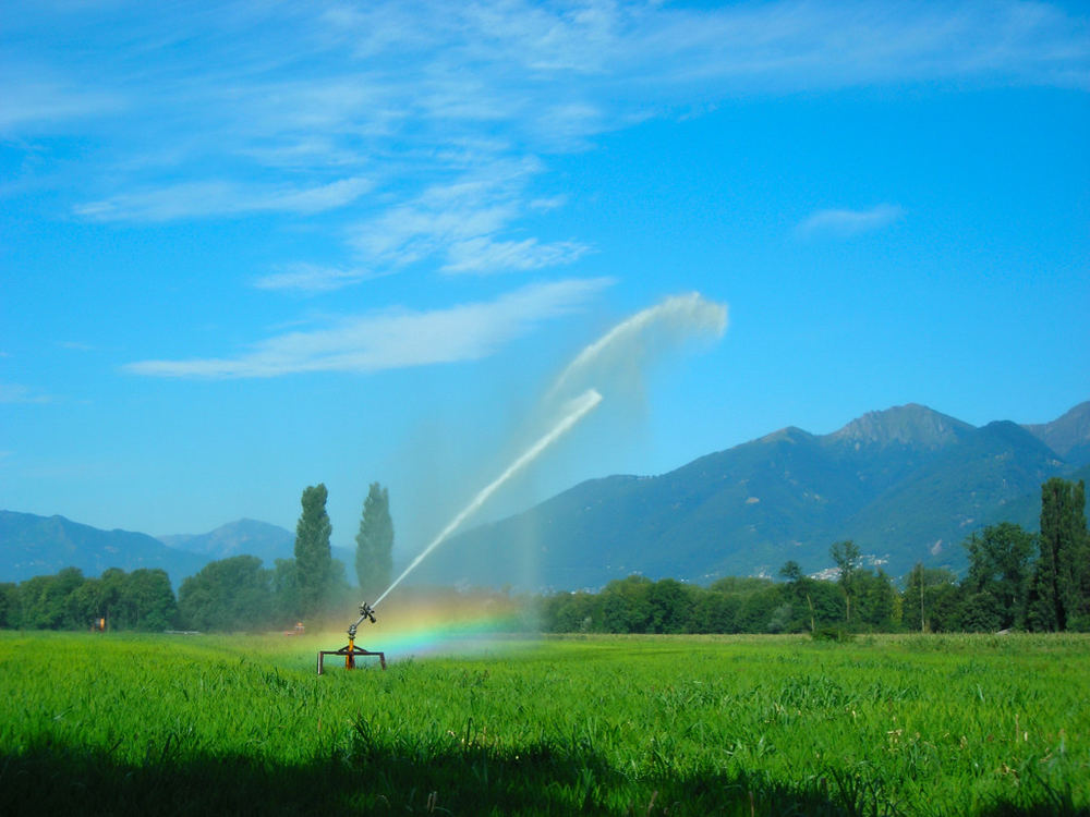 Sonnenlicht und Wasser II