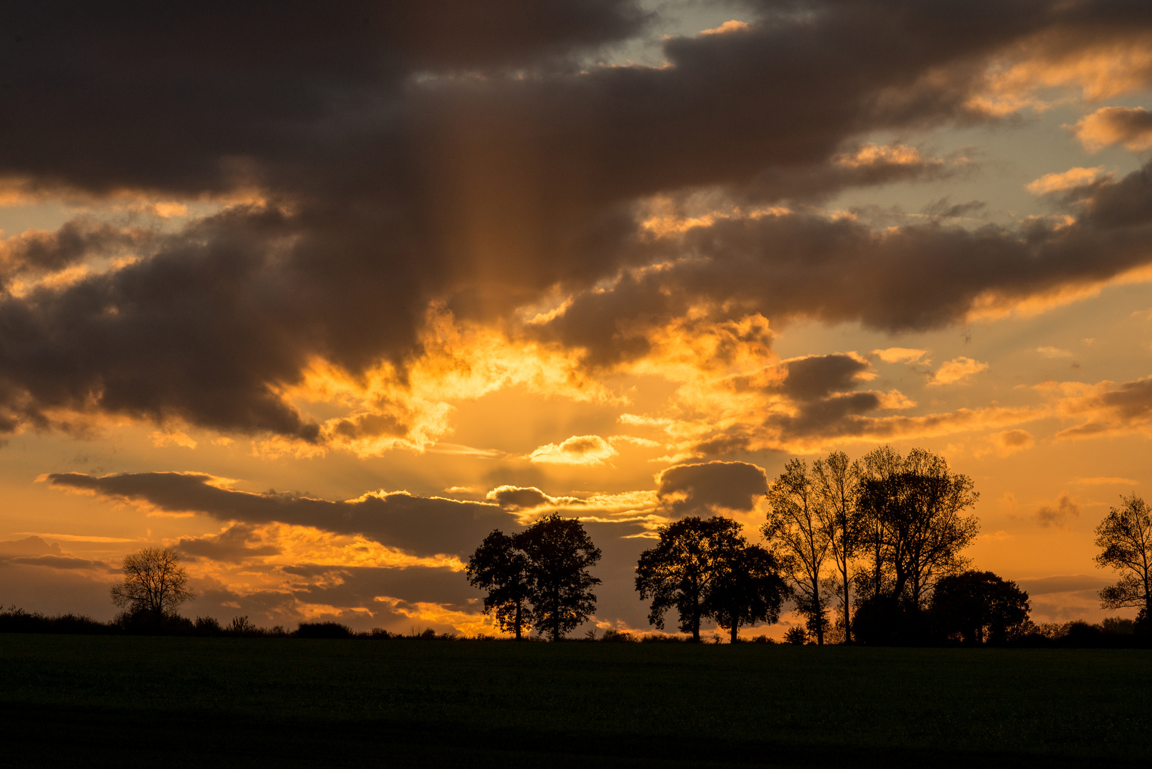 Sonnenlichtblicke