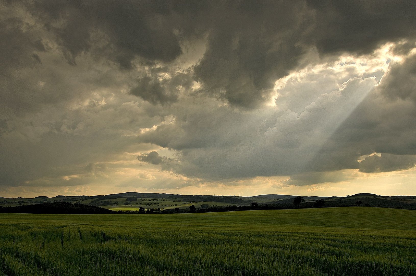 Sonnenlichter