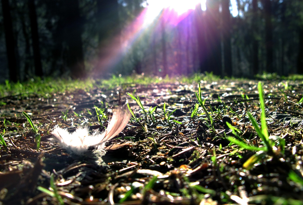 Sonnenlichtschatten