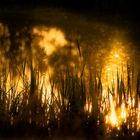 Sonnenlichtspiegelung auf dem Teich ..Sonnenuntergang