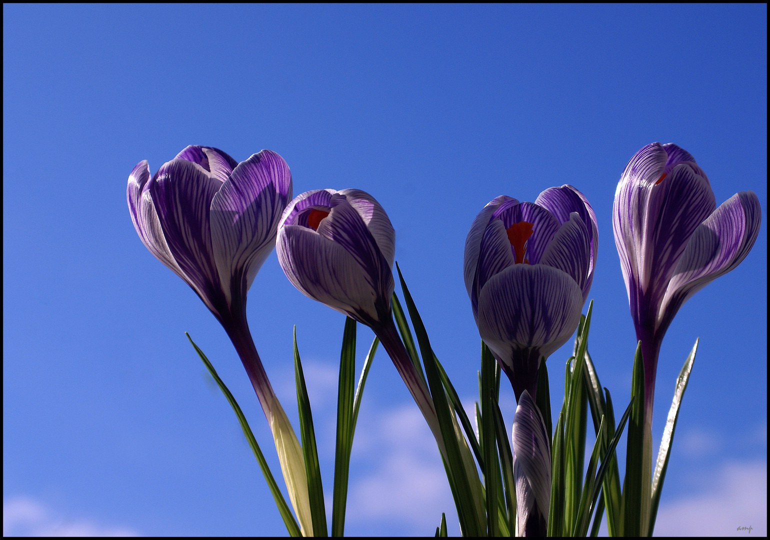 Sonnenminuten