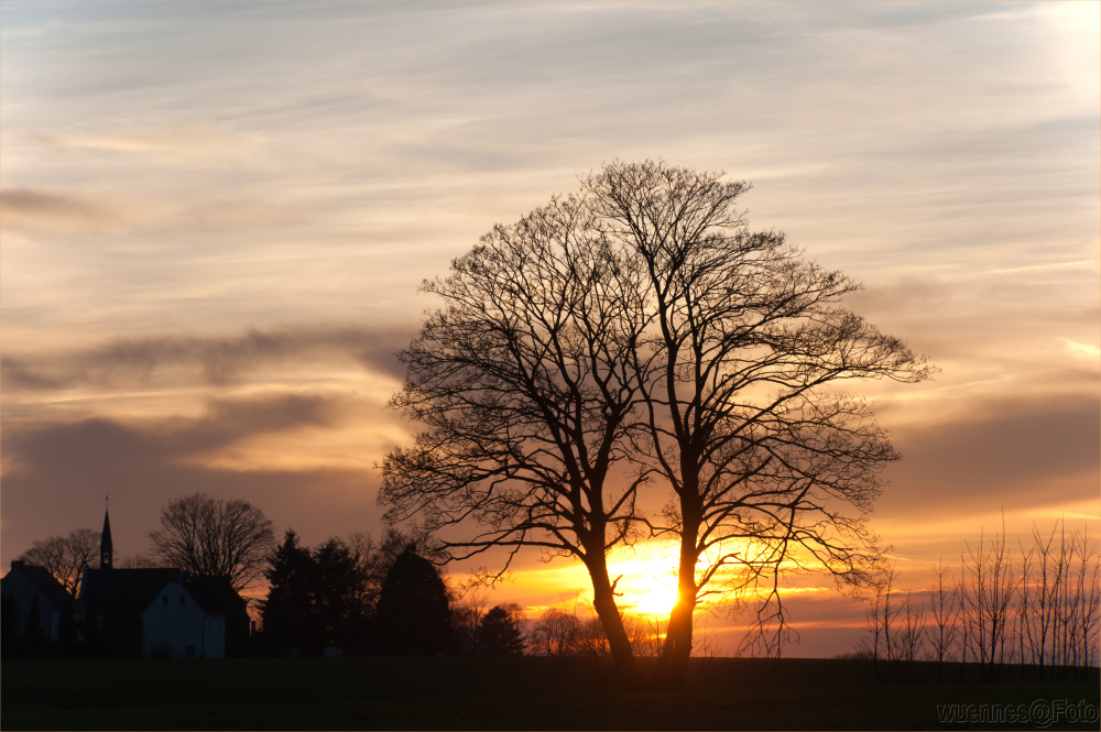 Sonnenmitte