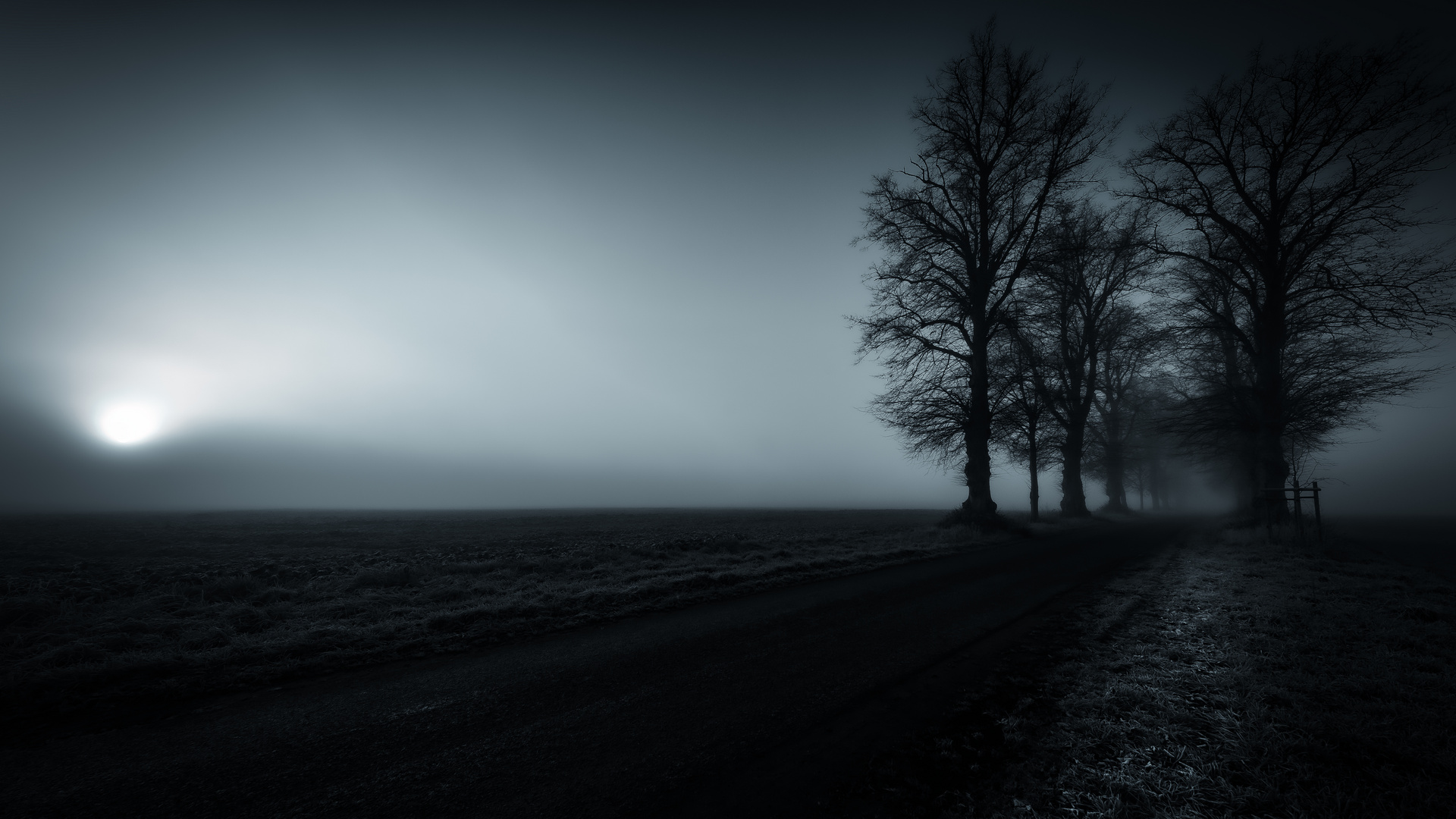 SonnenNebel Foto & Bild fotokunst, monochrome fine art, sonne Bilder