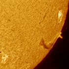 Sonnenoberfläche in H-alpha