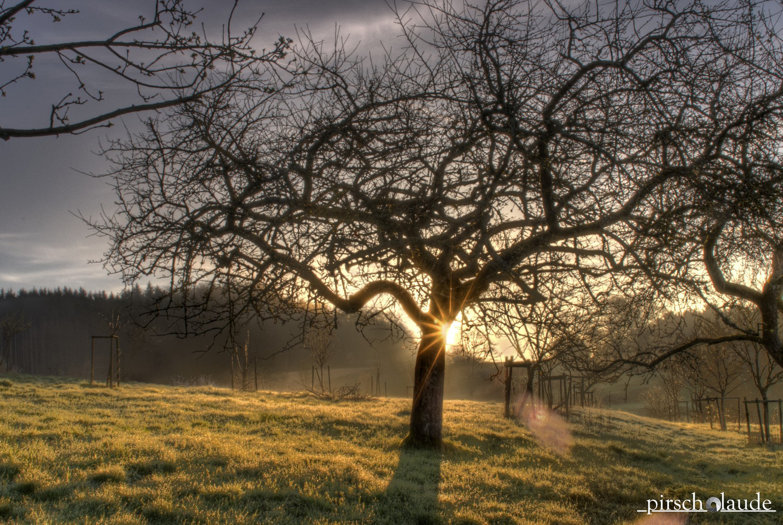 Sonnenopgang am Bongert