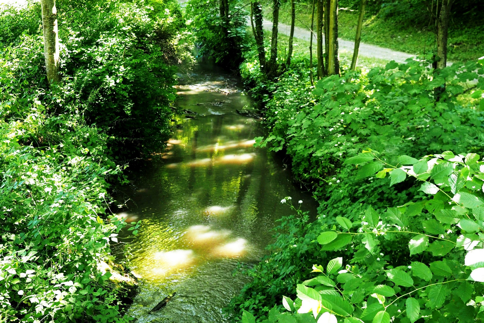 Sonnenreflexe im kleinen Bach