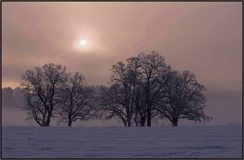 Sonnenschein