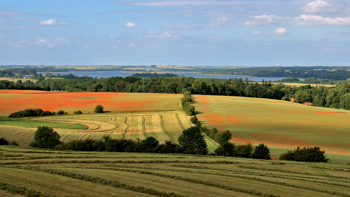 Sonnenschein 