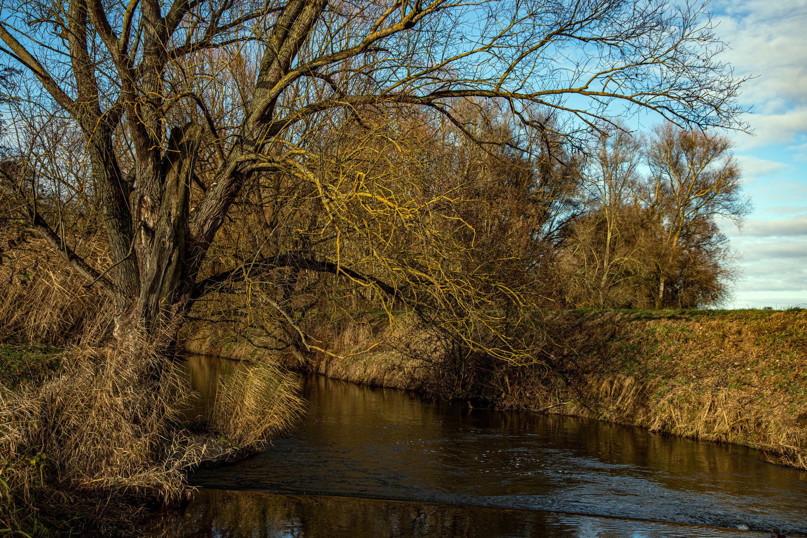 Sonnenschein