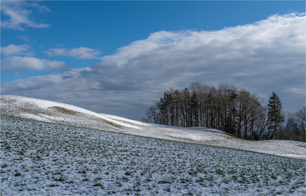 SONNENSCHEIN