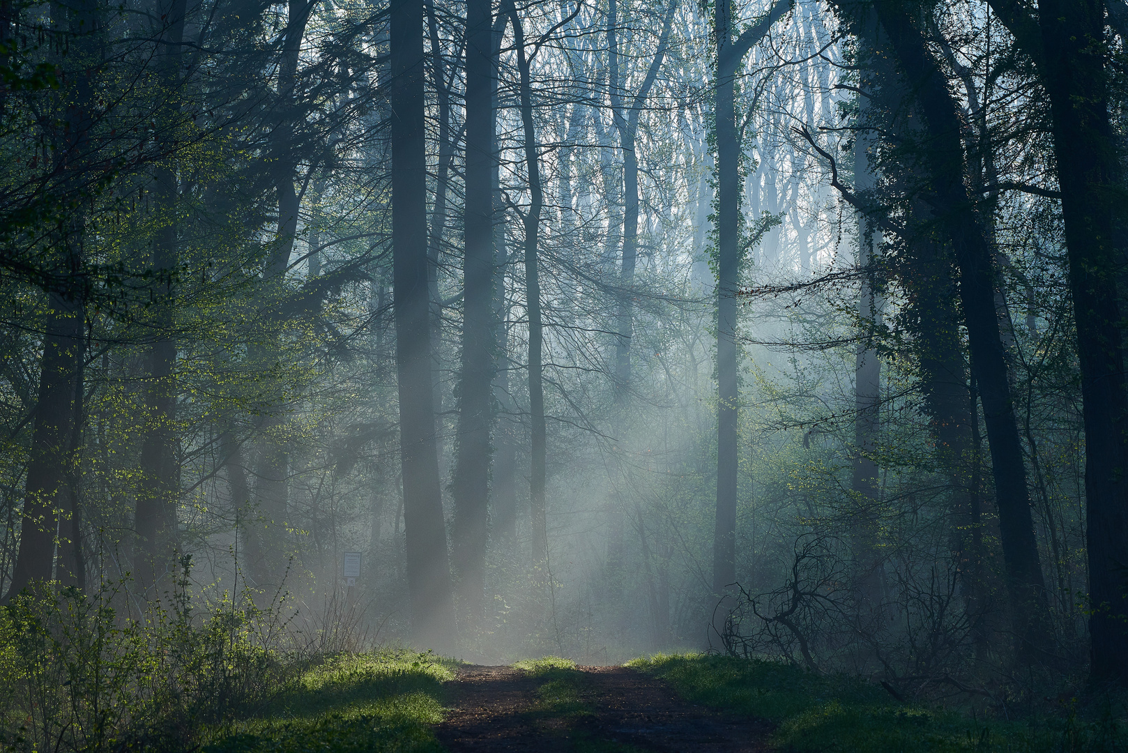 Sonnenschein am Morgen