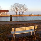 Sonnenschein am Utkiek in Greifswald-Wieck kurz nach Sonnenaufgang