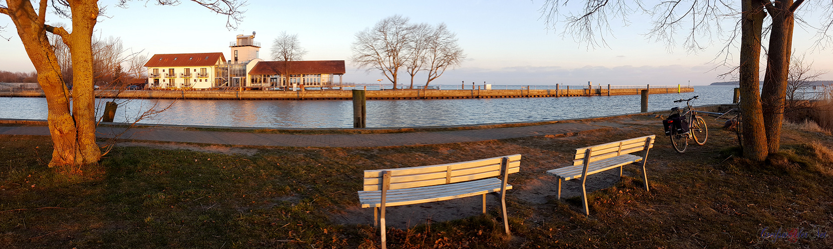 Sonnenschein am Utkiek in Greifswald-Wieck kurz nach Sonnenaufgang