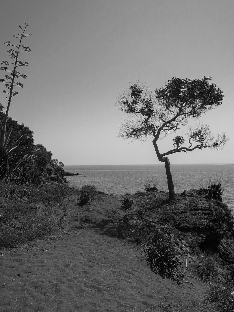 Sonnenschein auf der Vulkaninsel