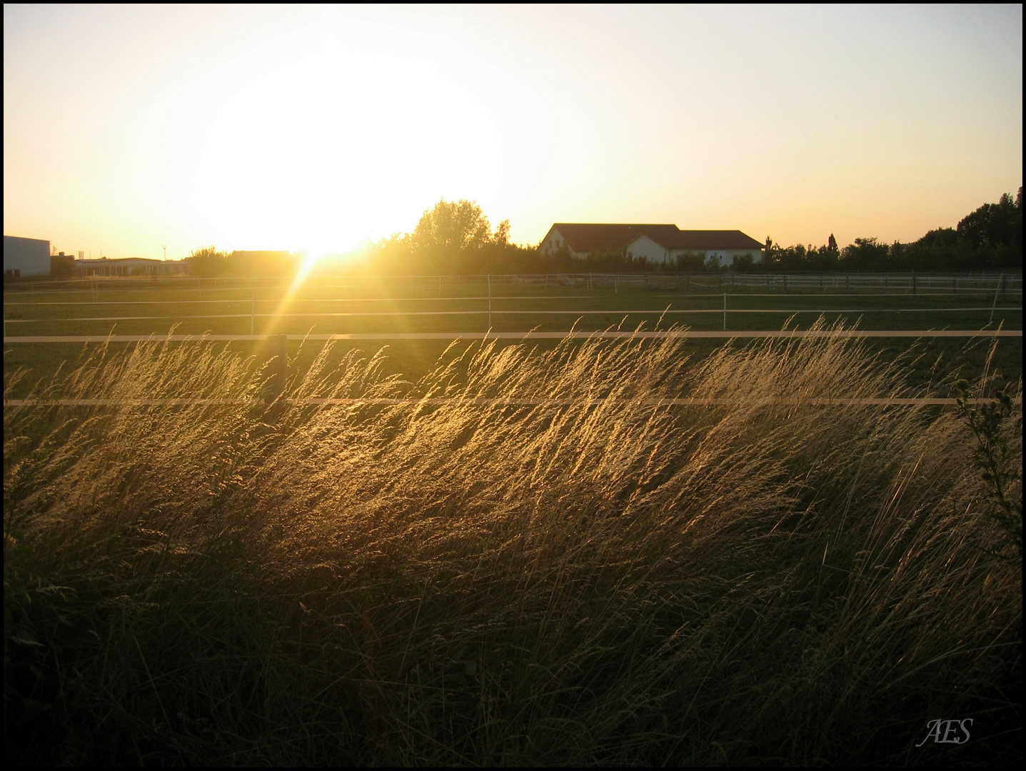 Sonnenschein auf  Feldern