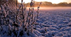 Sonnenschein auf Schnee...