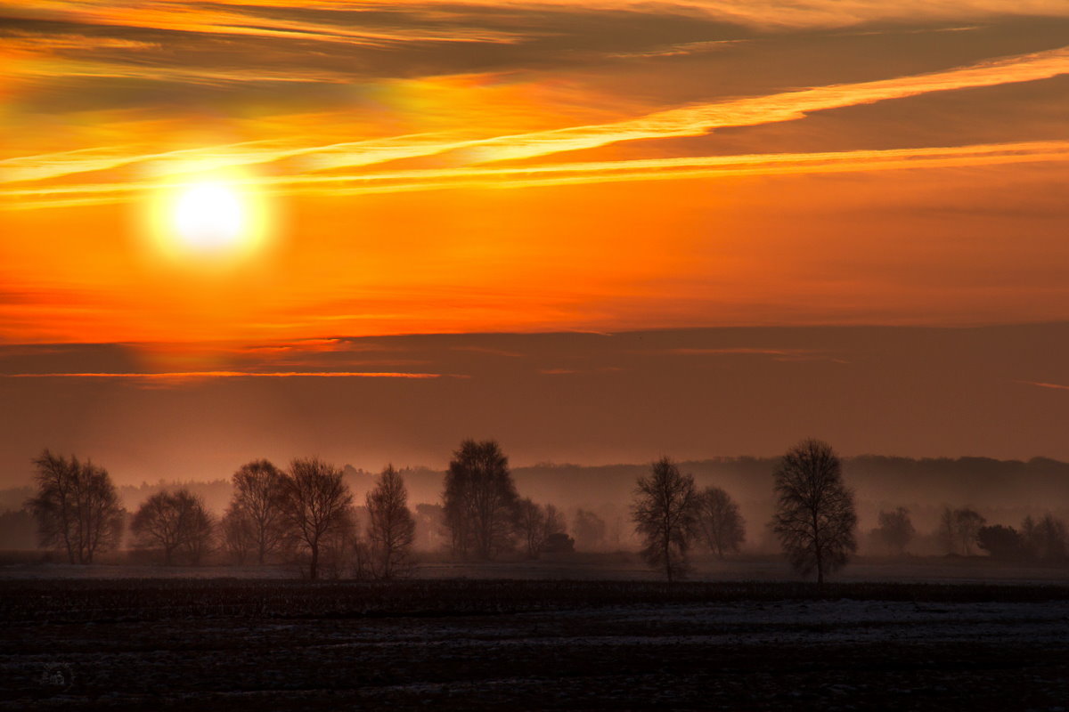 Sonnenschein