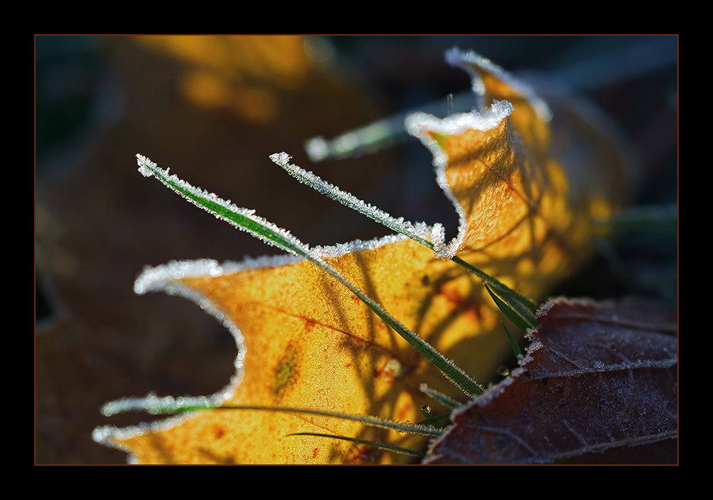 Sonnenschein bei Frost