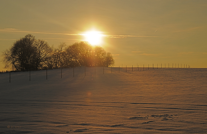 Sonnenschein