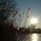 Sonnenschein eiskalt