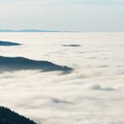 Sonnenschein im Schwarzwald