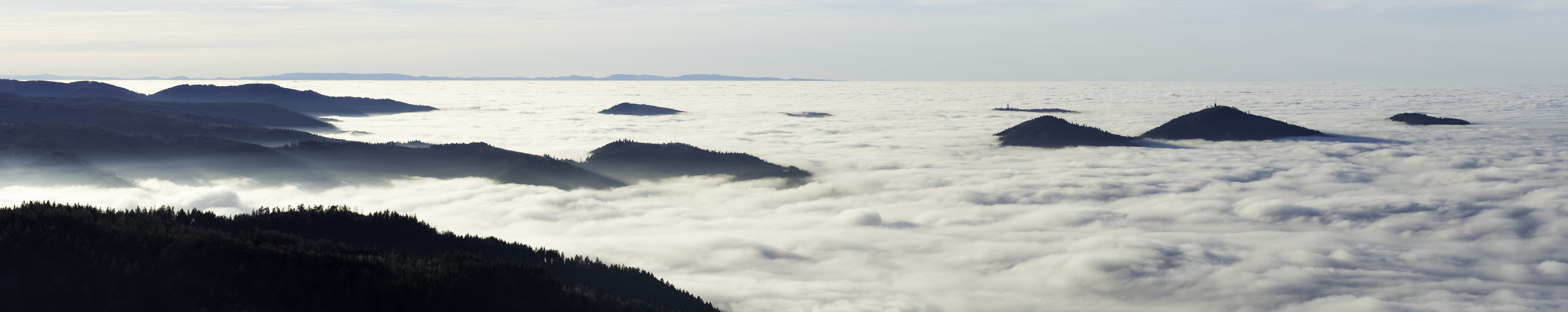 Sonnenschein im Schwarzwald