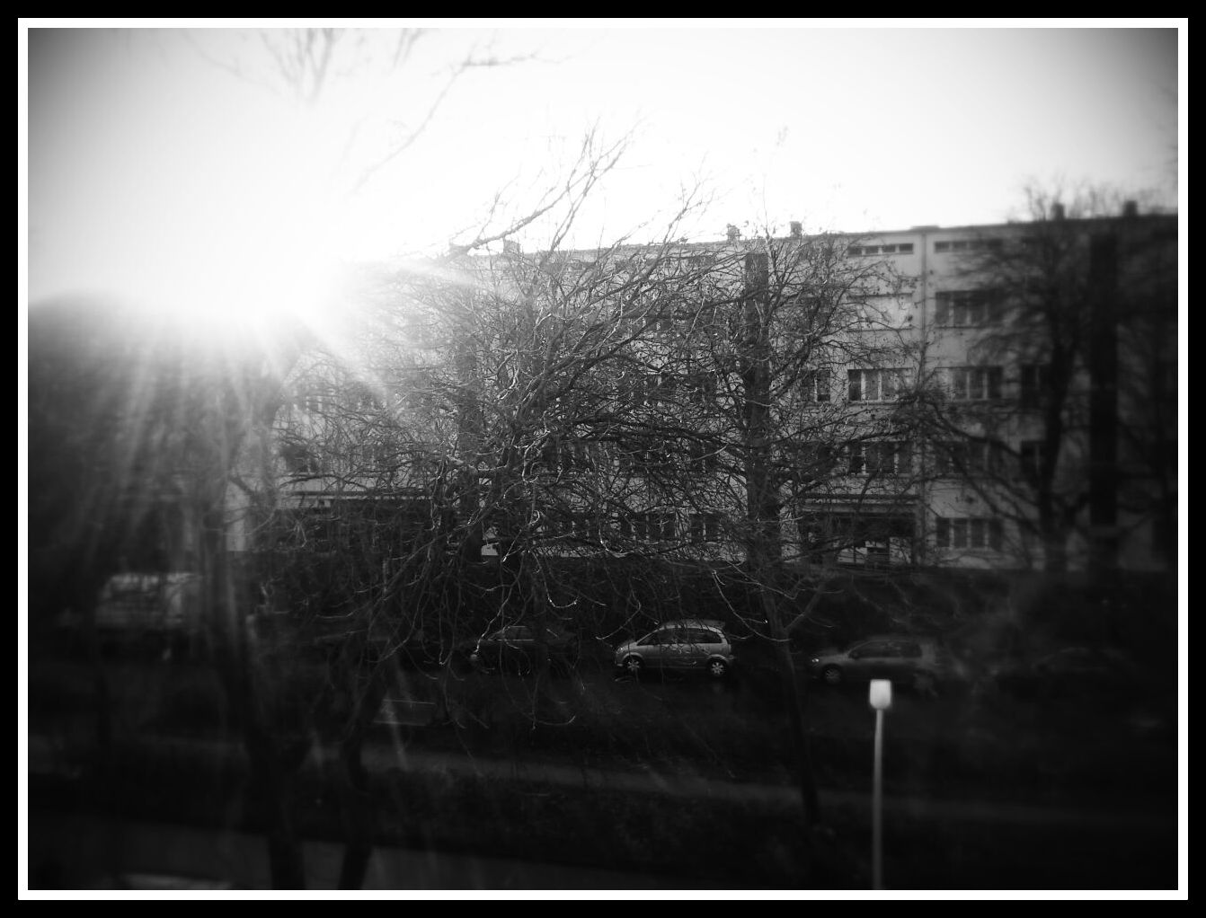 Sonnenschein im Winter