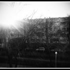 Sonnenschein im Winter