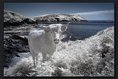 Sonnenschein in Cornwall