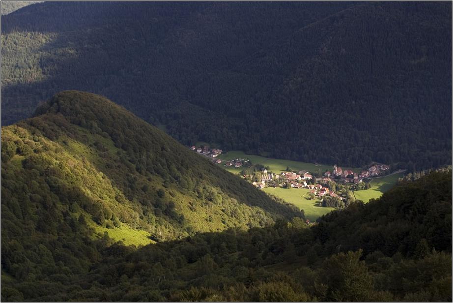 Sonnenschein in den Vosgesen (Elsass)