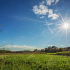 Sonnenschein ist immer willkommen