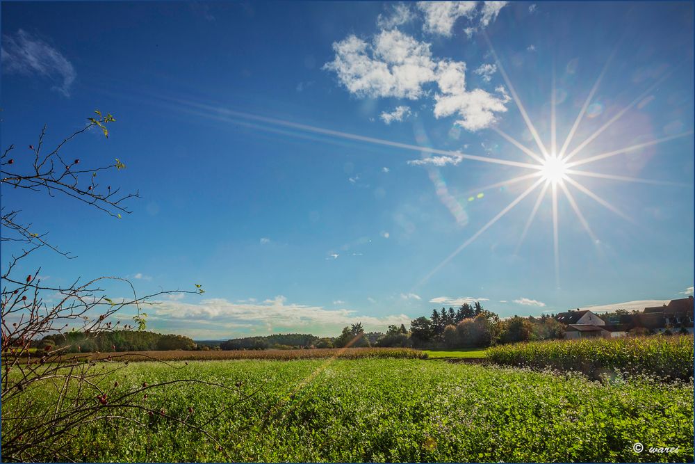 Sonnenschein ist immer willkommen