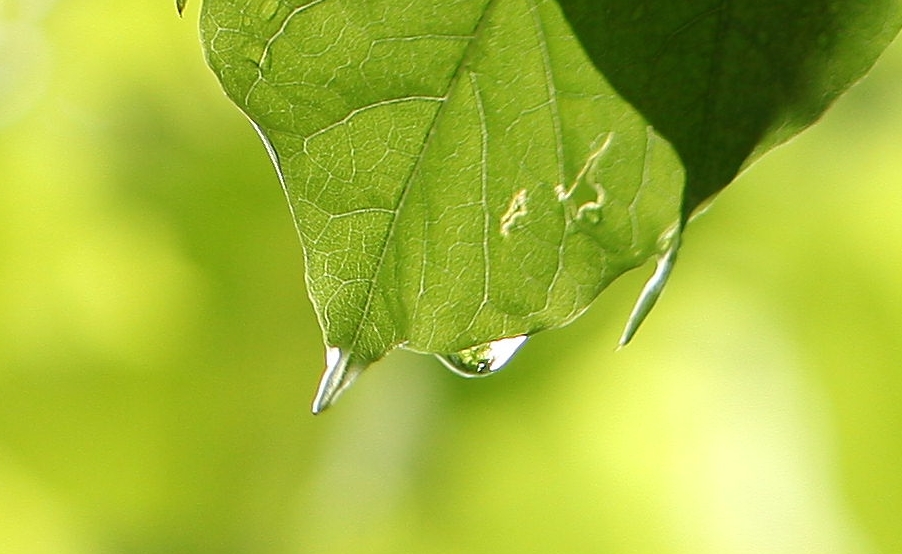 Sonnenschein nach einem kräftigem Regenschauer