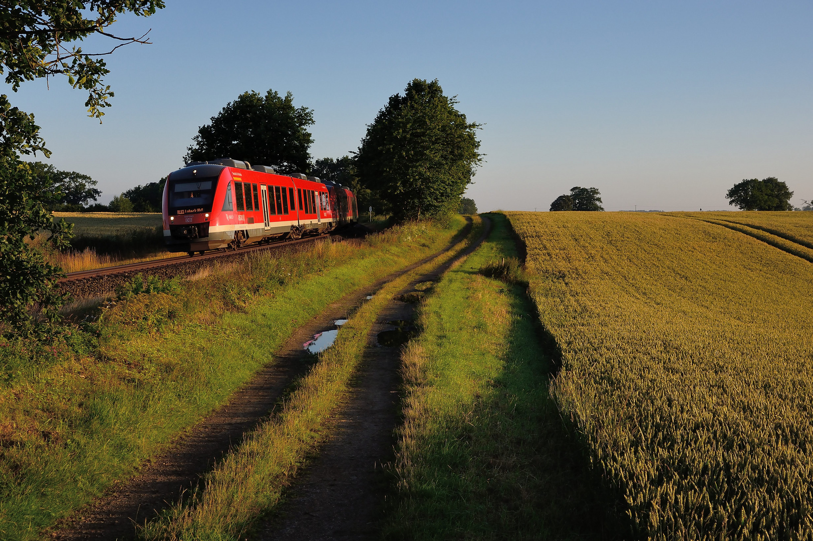 Sonnenschein und blauer Himmel ...