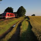 Sonnenschein und blauer Himmel ...