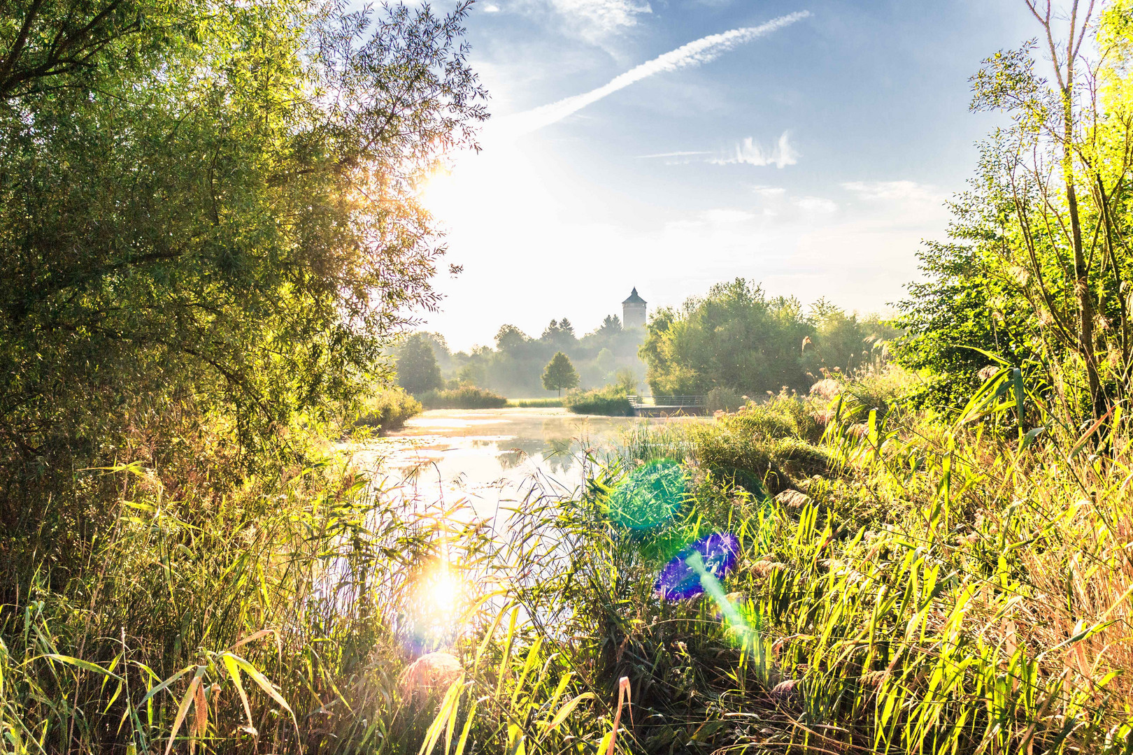 Sonnenschein und Linsenreflektion