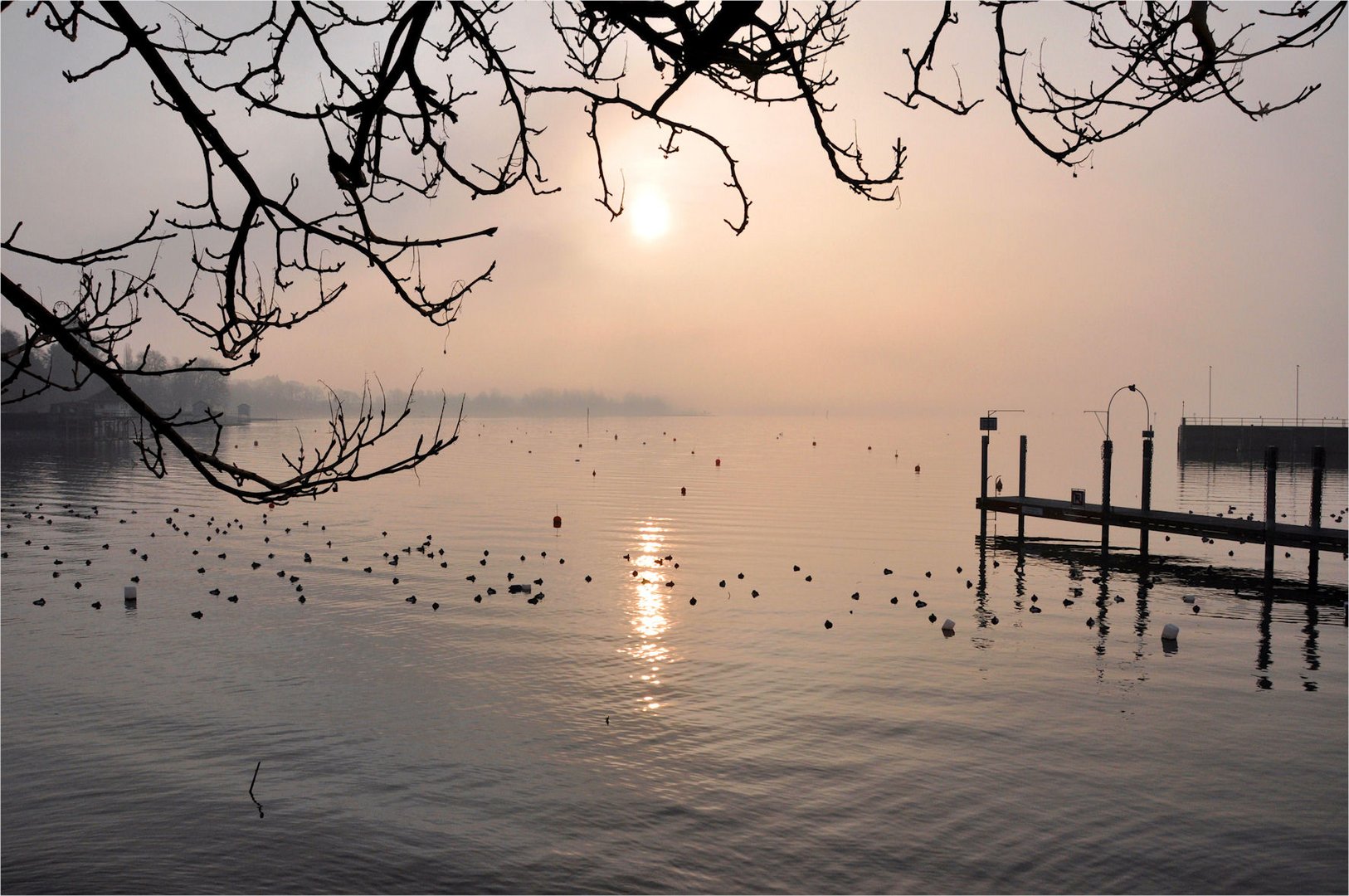 Sonnenschein und Nebel