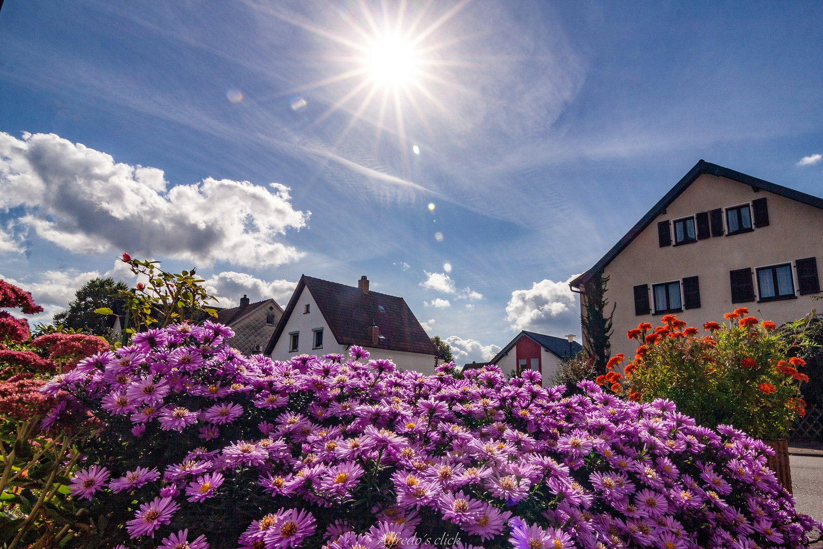  Sonnenschein&Blauer Himmel