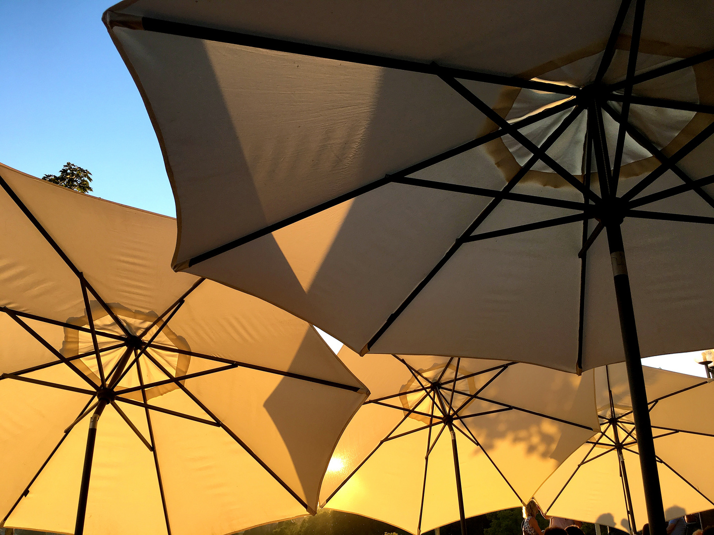 Sonnenschirm im Abendrot