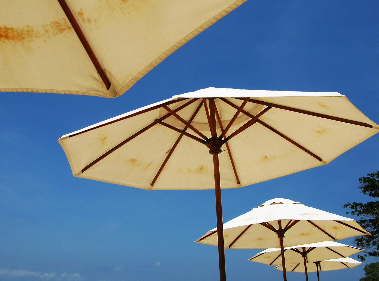 Sonnenschirme Foto Bild monatswettbewerbe spezial Sonnenschirme Foto Bild monatswettbewerbe spezial