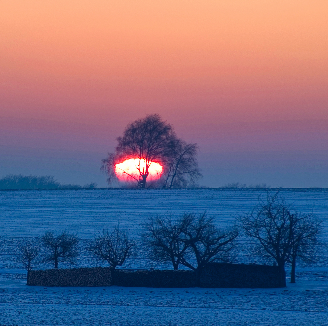 "SONNENSCHMELZE"