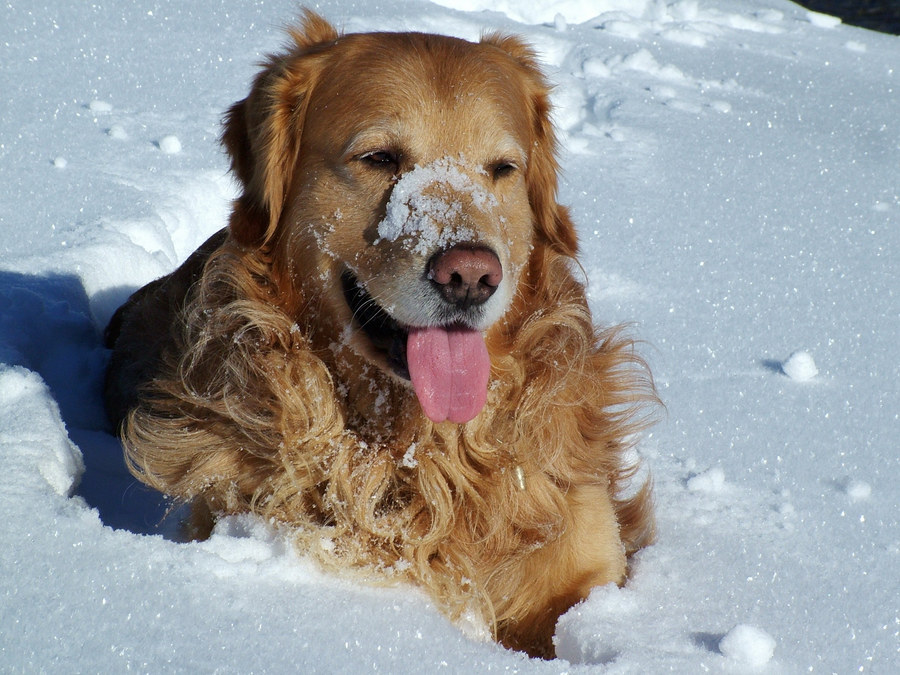 Sonnenschneebad