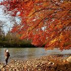 Sonnenseite des Herbstes